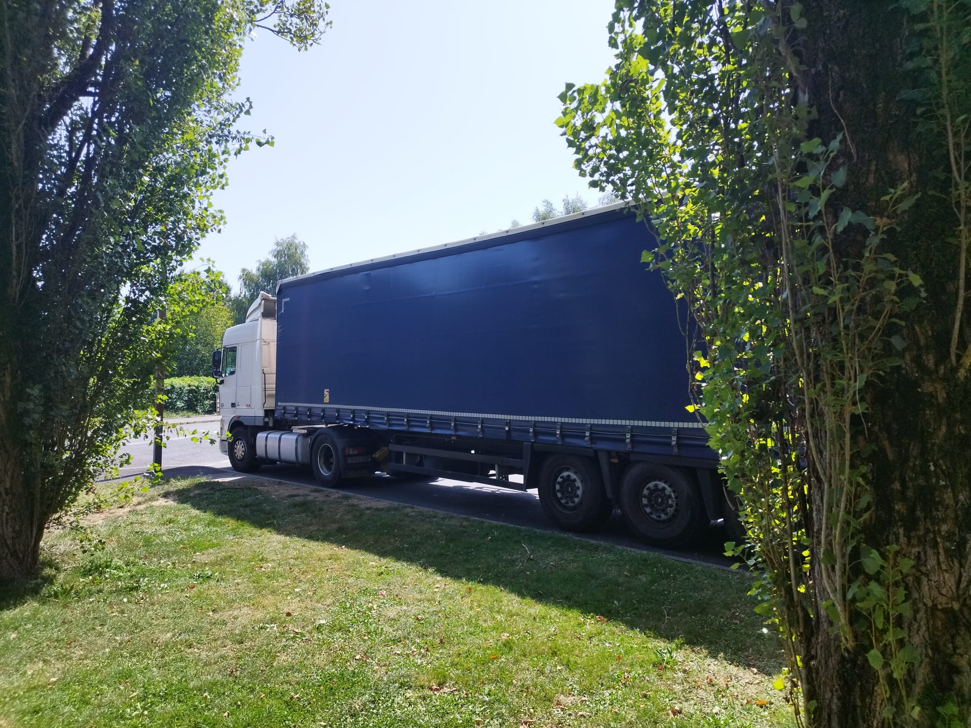 Montsianell Transports SCCL - Camiones de nuestros asociados